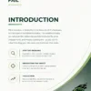 2 "Why Websites Fail" workbook